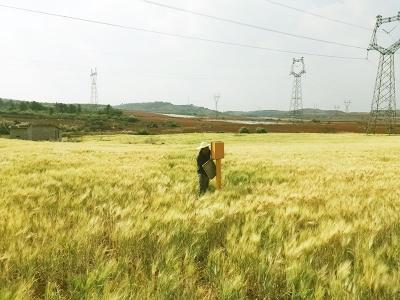 杂散电流评估与防护